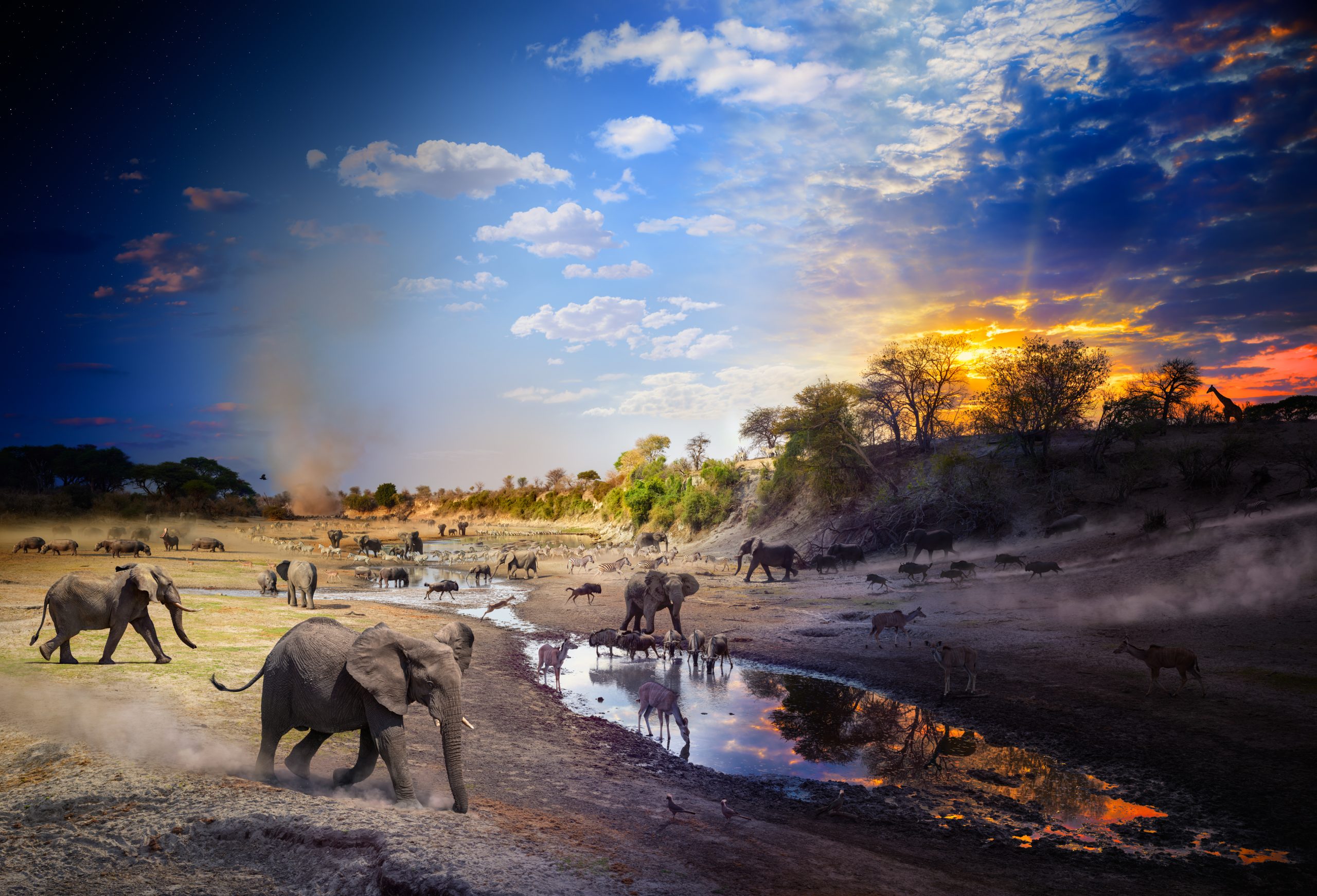 National Geographic | Stephen Wilkes Photography